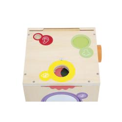 Janod Sensory Dreven didaktick kocka MultiActivity 9