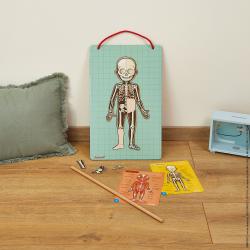 J05491_Magnetick skladaka udsk telo svaly kostra orgny Bodymagnet Janod od 7 rokov_11